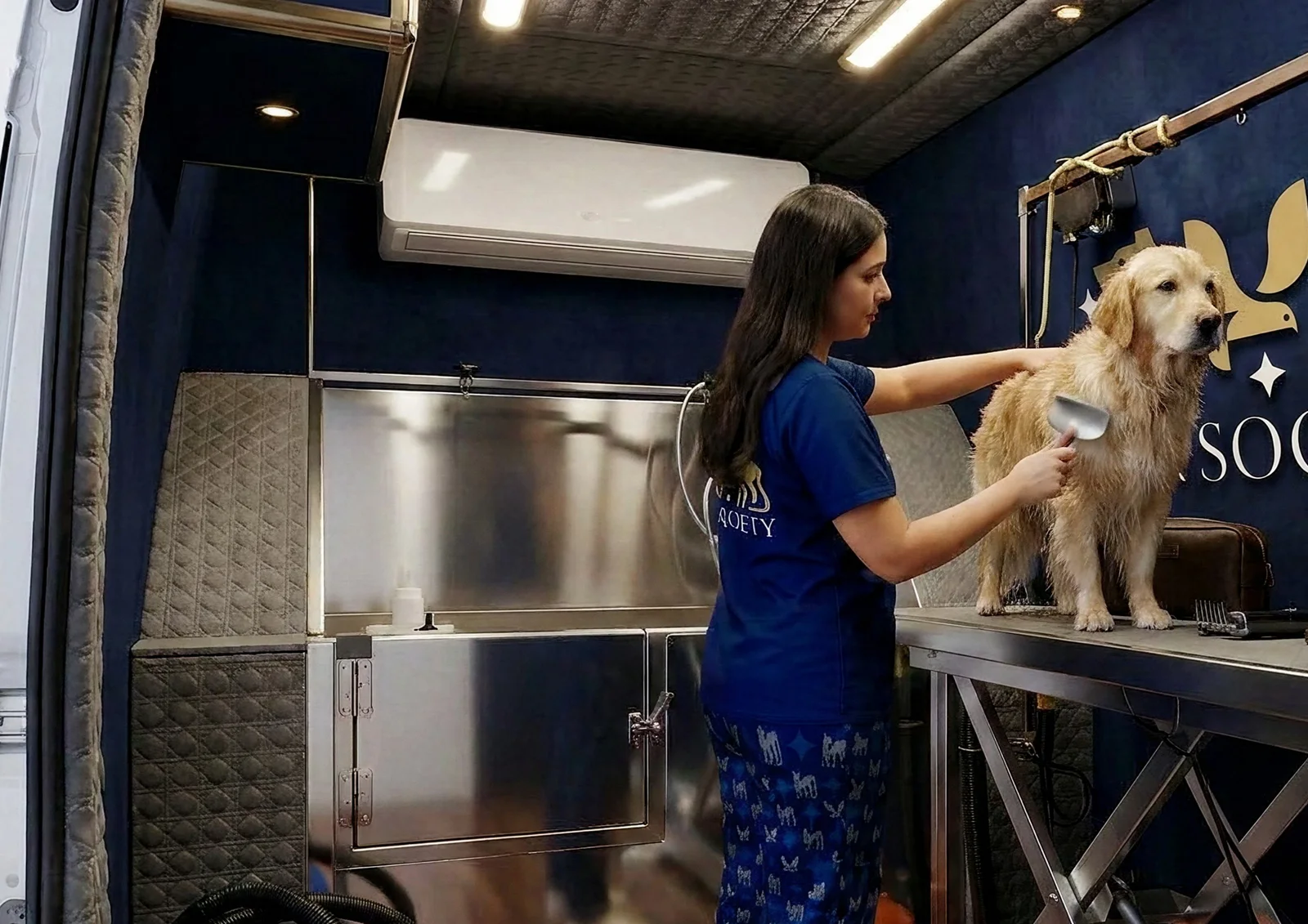 Grooming a golden retriever inside the van